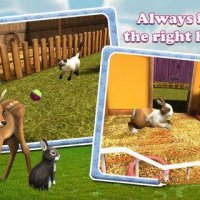 PetWorld 3D My Animal Rescue 1.4