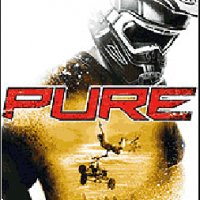 pure se w810 176x220