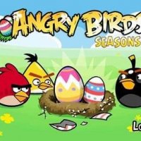 AngryBirds мастер5800