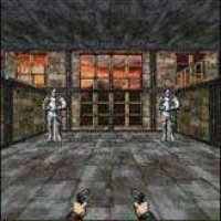 x208-wolfenstein rpg