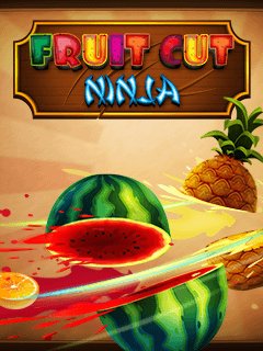 FruitCutNinja176x208