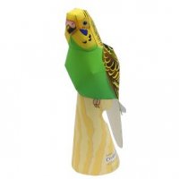 budgerigar