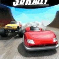 3D Rally