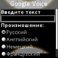 Voice Google