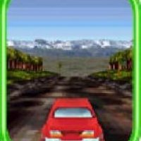 Rally Pro-Contest