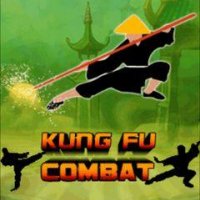 Kung Fu Combat