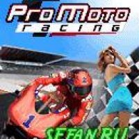 ProMotoRacing 220х176