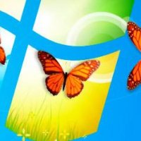 Butterfly On Desktop