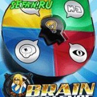 Brain Challenge