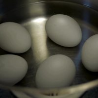 How to Scramble Eggs Inside Their Shell