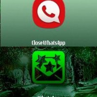 whatsapp v.2.11 955 mod