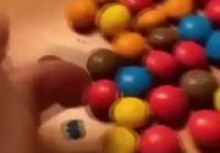 Дуэли M&M