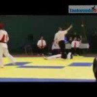 Tkd WTF Best Knockouts 2012 176x144