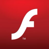 10 install flash p