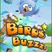 Birds Buzzzz