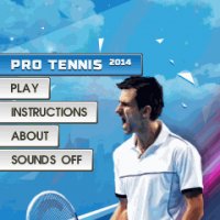 Pro Tennis 2014