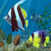 (R)Animated 3D Fish