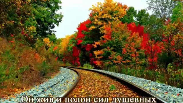 Video 7999132145121