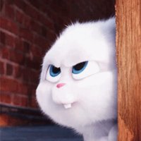 Secret Life Of Pets Snowball GIF - SecretLifeOfPets Snowba