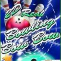 2D Real Bowling Bow Bow