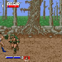 Golden Axe s40 s60 SE 240x320