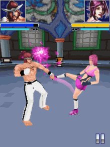 The Fight 3D 640x360 TS