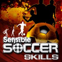 Sensible Soccer Skills