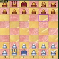 Chess Pro 5.0.3