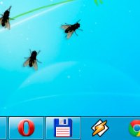 Fly on Desktop