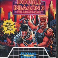 Double Dragon 3 - The Arcade Game