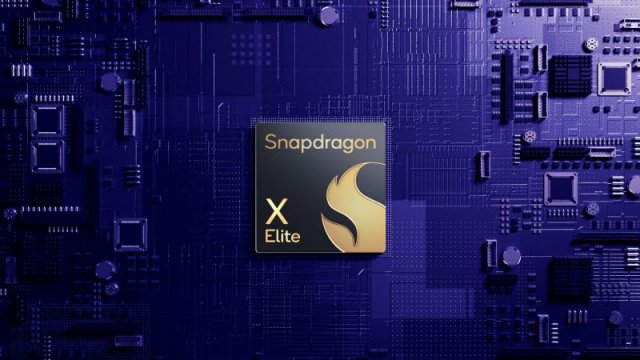 Snapdragon 01