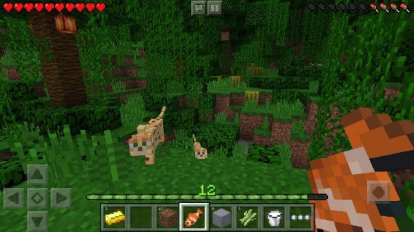 Minecraft - Pocket Edition (1.1.2)