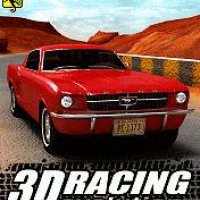 3D Racing Evolution (240x320)