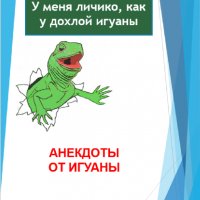 Флинт. Анекдоты от игуаны