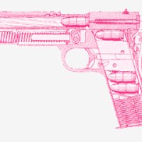 GUN