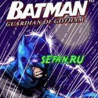 Batman Guardian of Gotham 240 nok