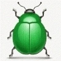 gift large bug-