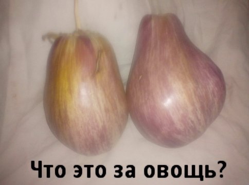 Овощь