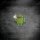 android eating apple1-e1286828194321-562