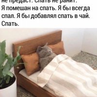 Всё я спать