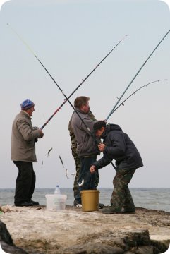 Fishing (3146571907)