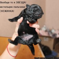 Снежинка!