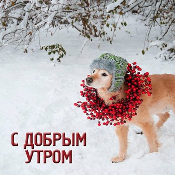 С добрым утром