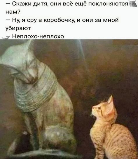 КотЭ)