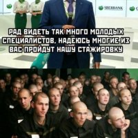 специалисты