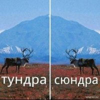 Тундра тудема-сюдема