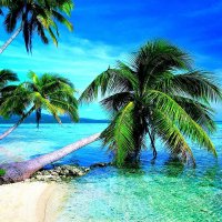 tropical-beach-wallpaper--For-Desktop-Wallpaper