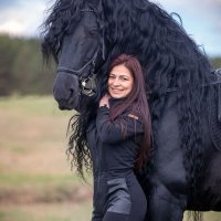 Friesians lovers!