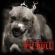 Pitbul-spaces.ru