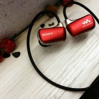 Sony W273S